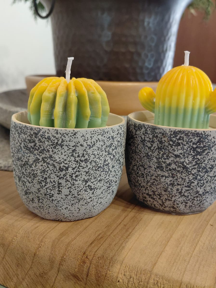 Vela Maceta Suculenta 1