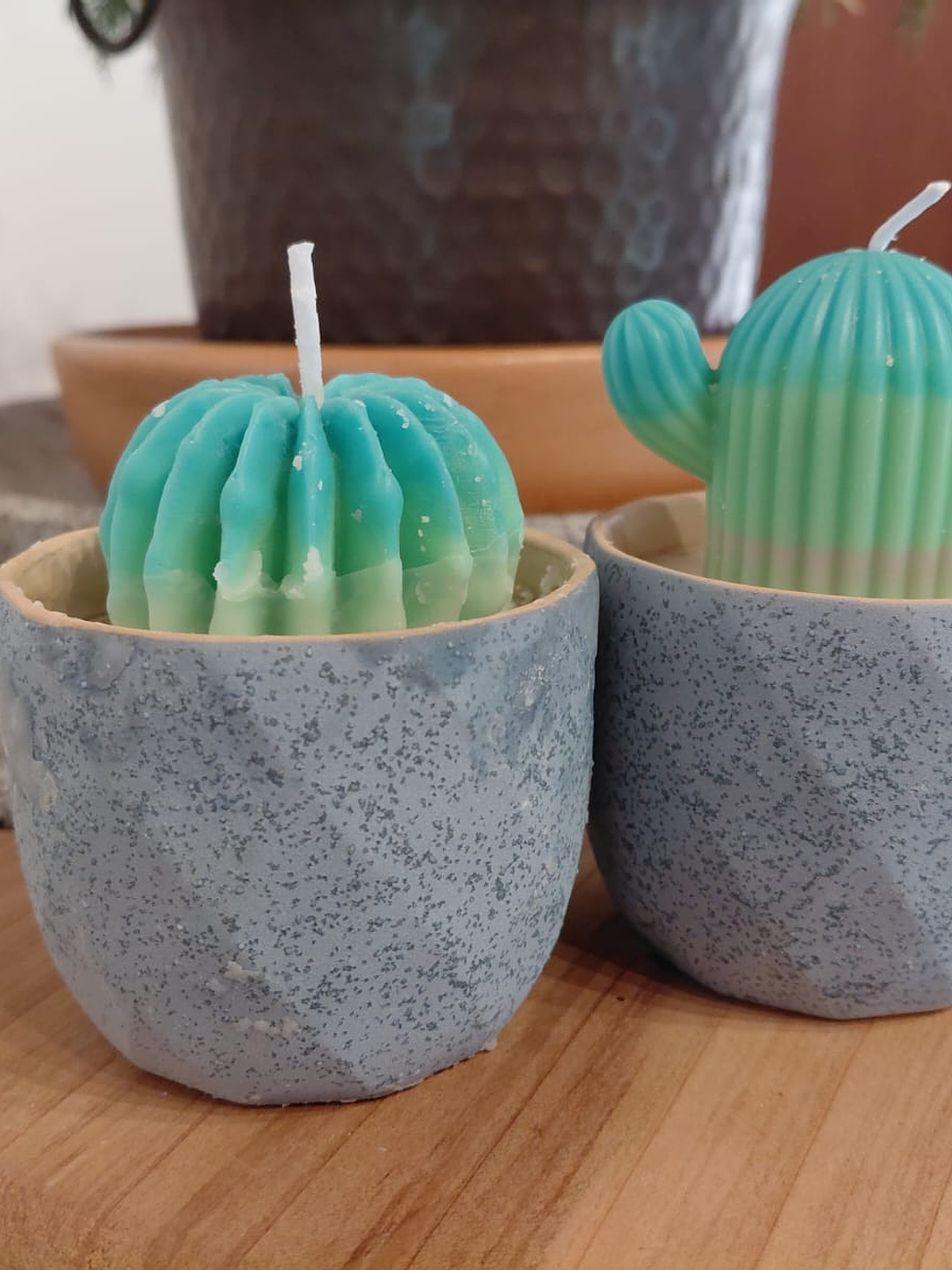 Vela Maceta Suculenta 2