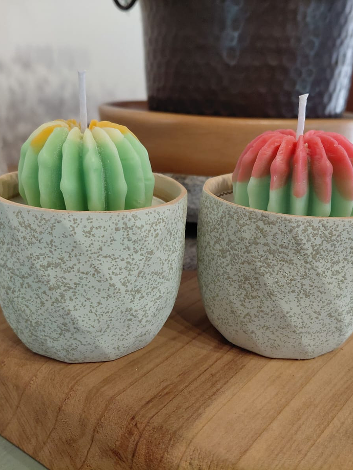 Vela Maceta Suculenta 4