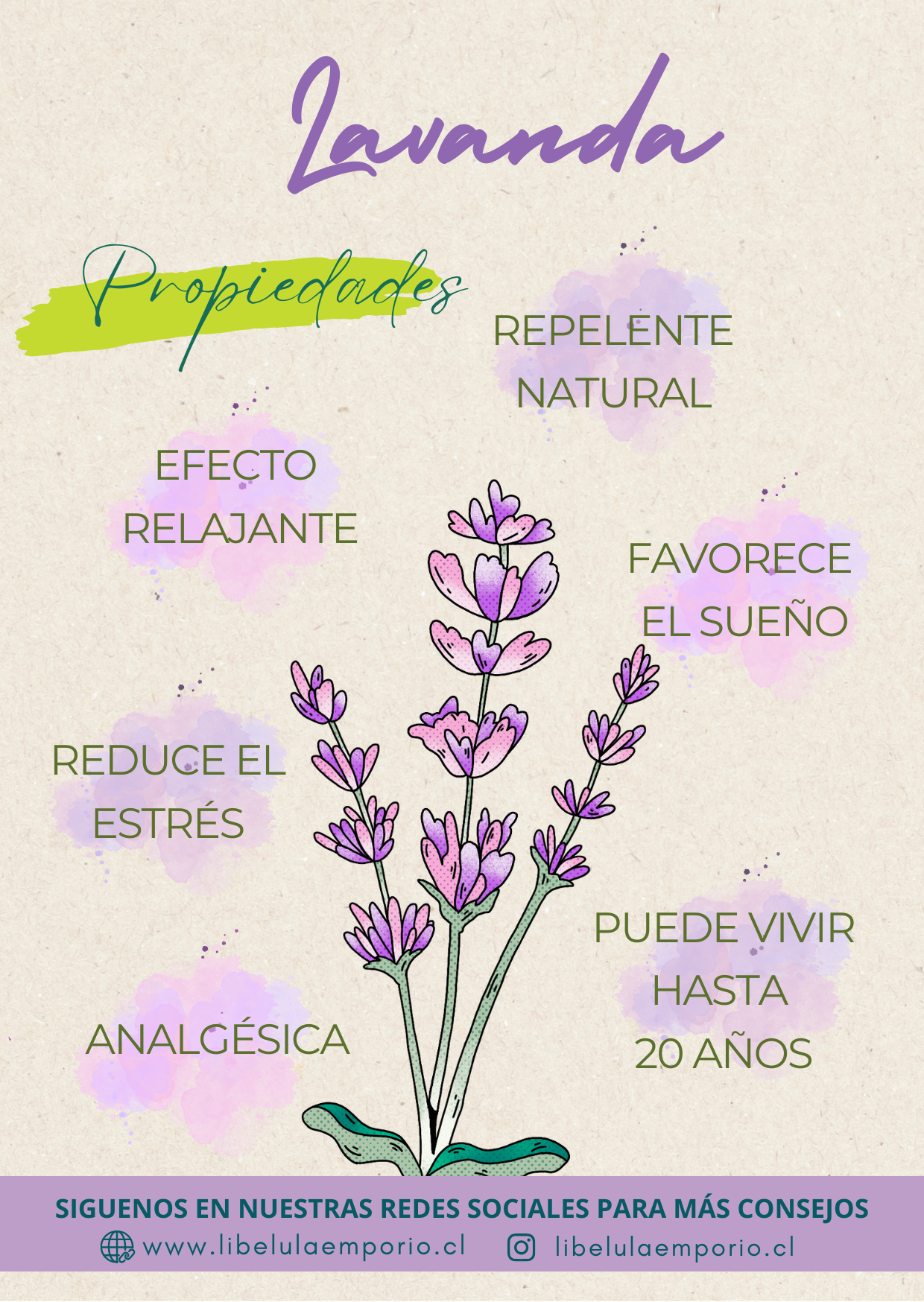 Lavanda Propiedades
