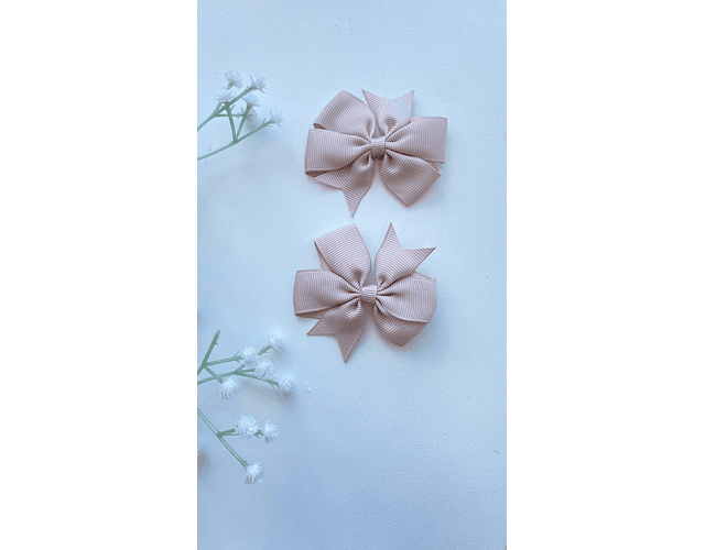 Pinche Rosie primavera 