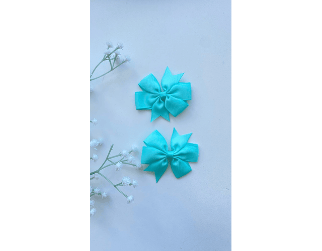 Pinche Rosie primavera 