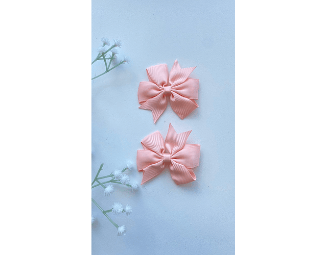 Pinche Rosie primavera 