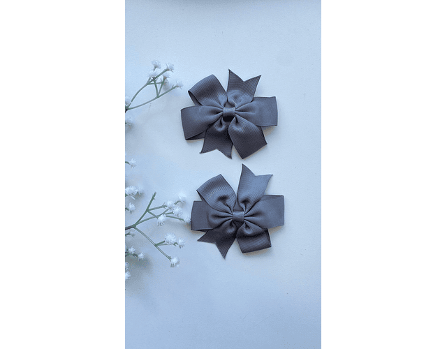 Pinche Rosie primavera 