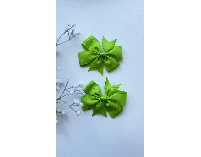 Pinche Rosie primavera 