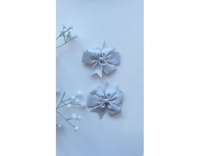 Pinche Rosie primavera 