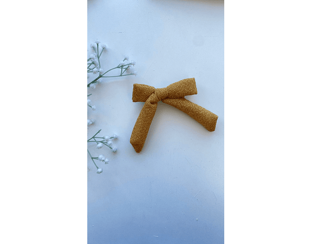 Pinche  coquette brillos 