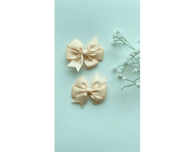 Pinche Rosie primavera 