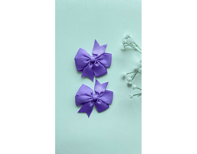 Pinche Rosie primavera 