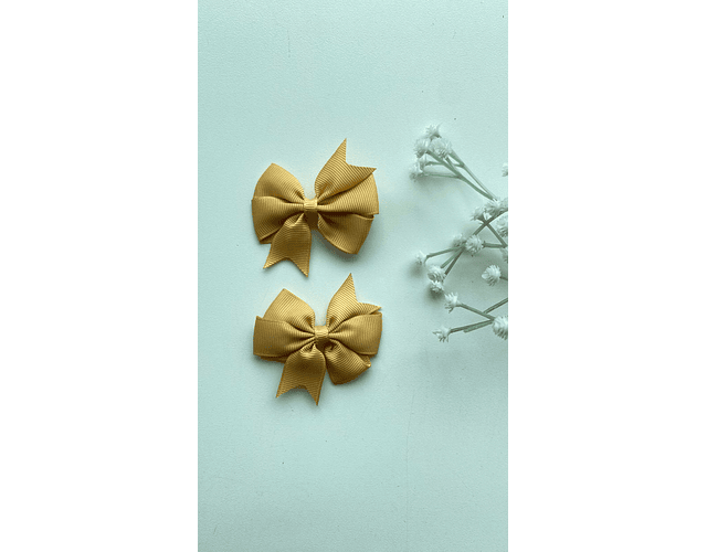 Pinche Rosie primavera 