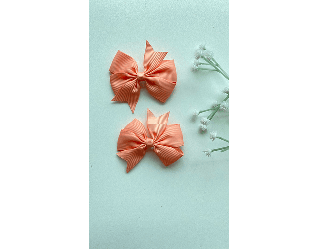 Pinche Rosie primavera 