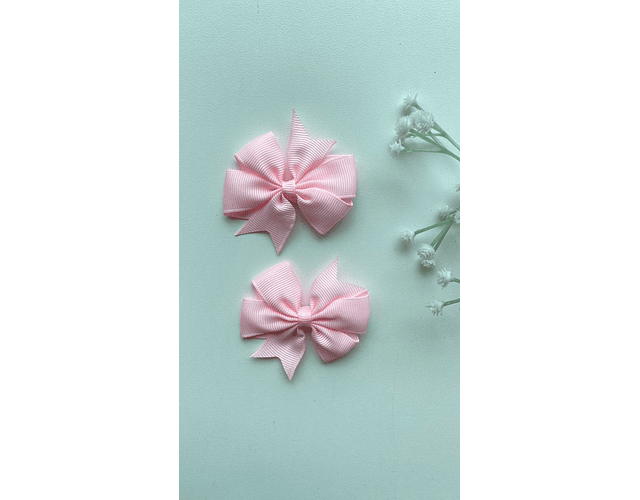 Pinche Rosie primavera 