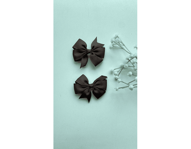 Pinche Rosie primavera 