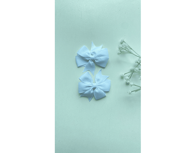 Pinche Rosie primavera 