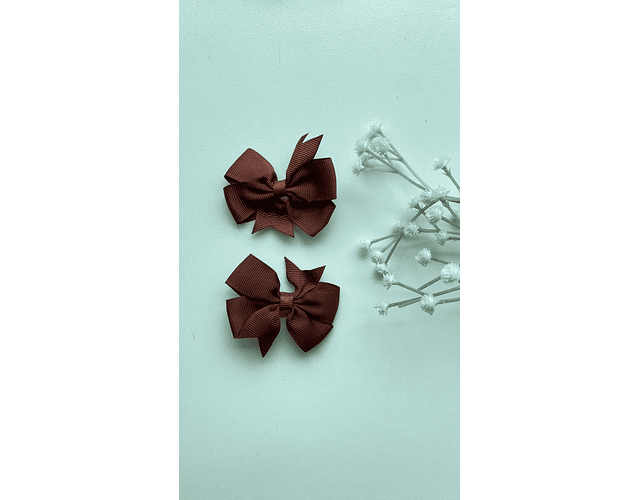 Pinche Rosie primavera 