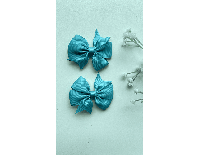 Pinche Rosie primavera 