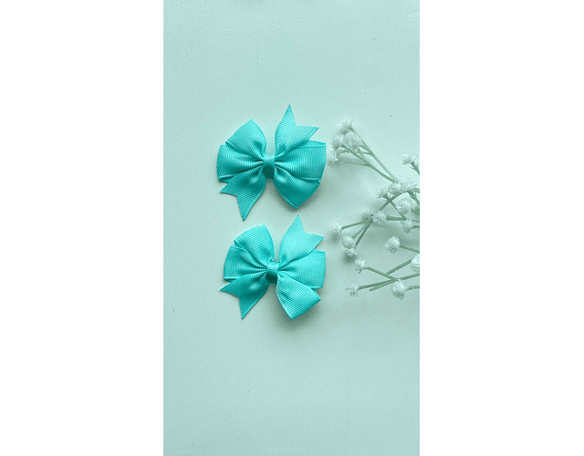 Pinche Rosie primavera 