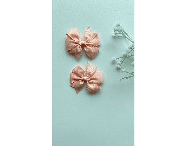 Pinche Rosie primavera 