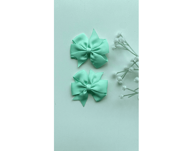 Pinche Rosie primavera 