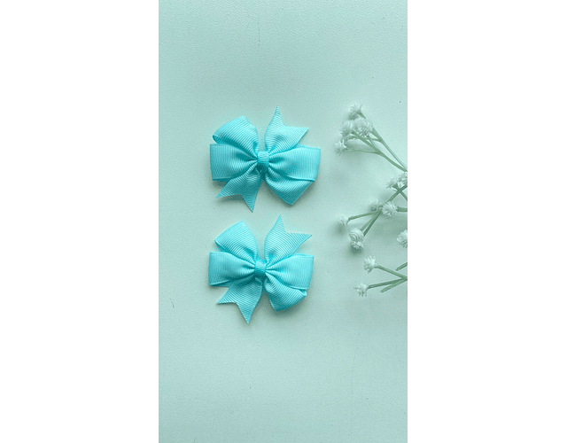 Pinche Rosie primavera 