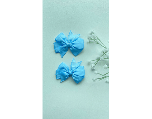 Pinche Rosie primavera 