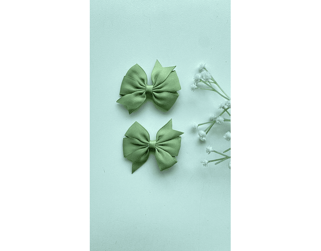 Pinche Rosie primavera 