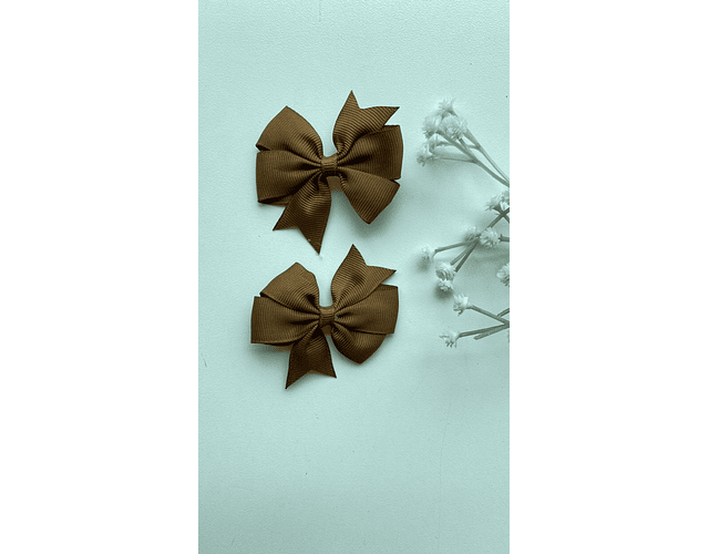 Pinche Rosie primavera 