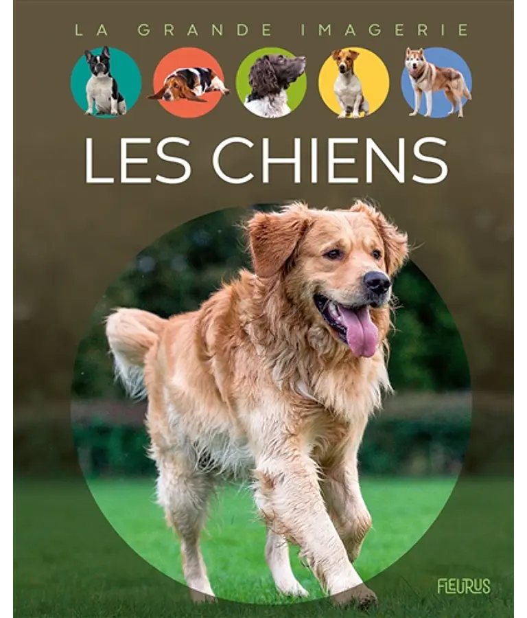 La Grande Imagerie - Les chiens