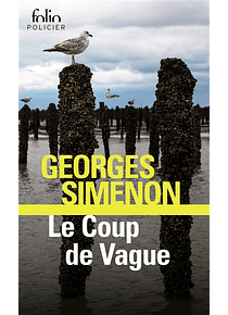 Le coup de la vague, de Georges Simenon