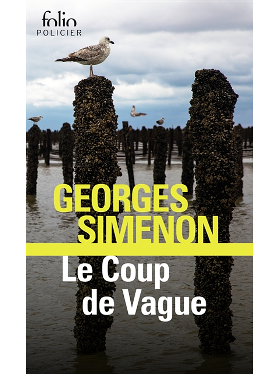 Le coup de la vague, de Georges Simenon