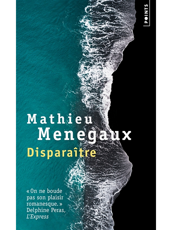 Disparaître, de Mathieu Menegaux