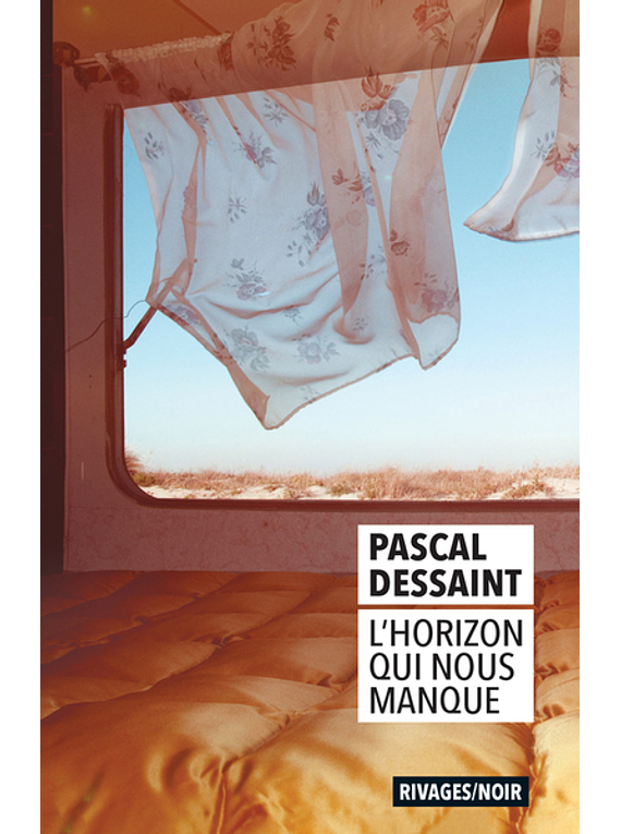 L'horizon qui nous manque, de Pascal Dessaint