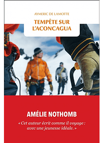 Tempête sur l'Aconcagua de Aymeric de Lamotte