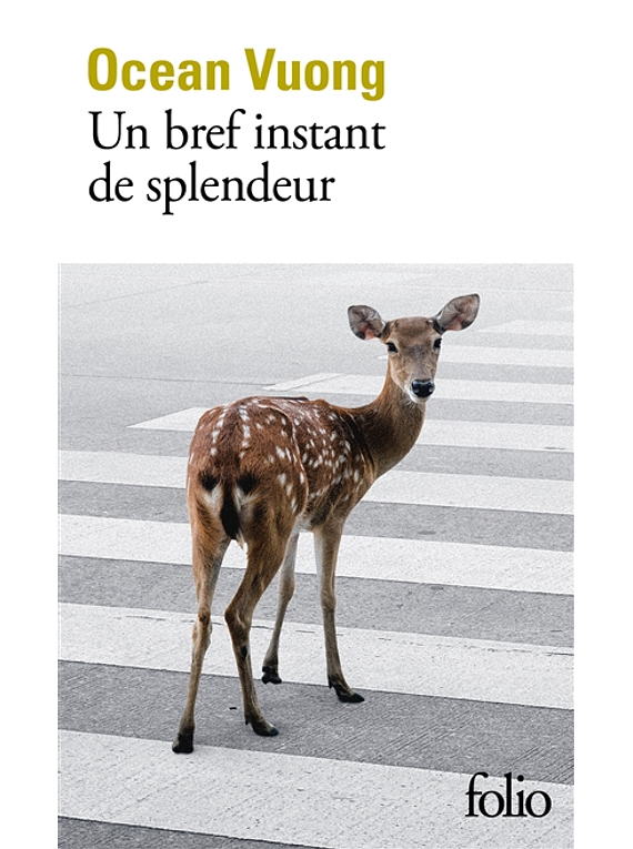 Un bref instant de splendeur, de Ocean Vuong