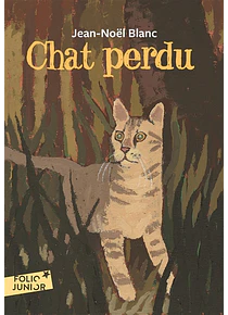 Chat perdu, de Jean-Noël Blanc 