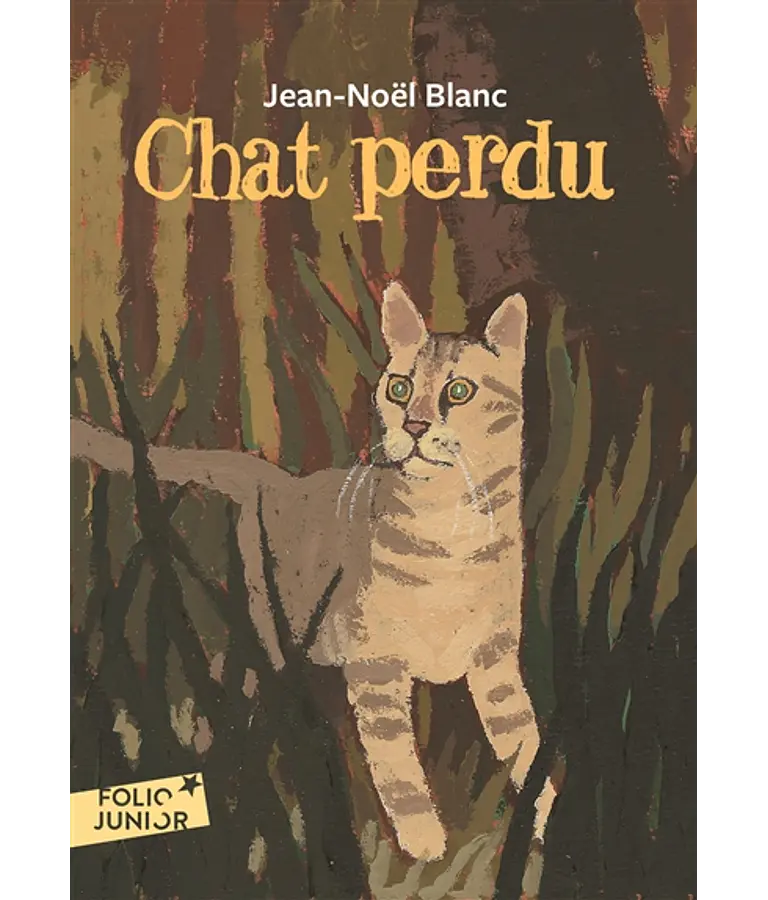 Chat perdu, de Jean-Noël Blanc 