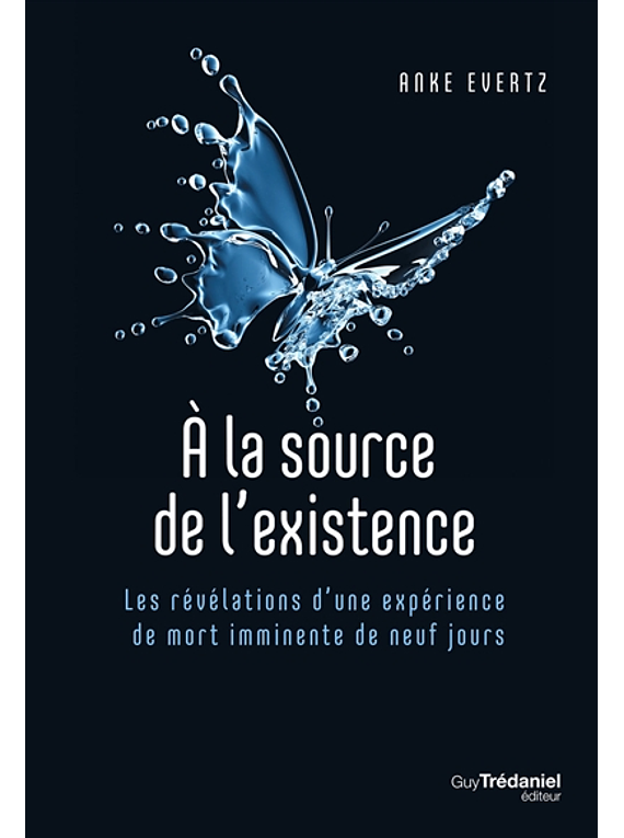 A la source de l'existence : les révélations d'une expérience de mort imminente de neuf jours, de Anke Evertz