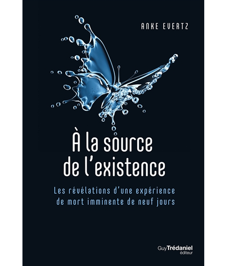 A la source de l'existence : les révélations d'une expérience de mort imminente de neuf jours, de Anke Evertz