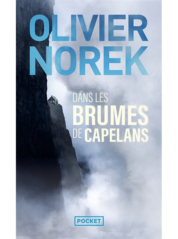 Dans les brumes de Capelans, de Olivier Norek