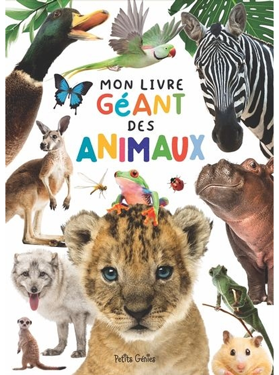 Mon livre géant des animaux, de Kim Huynh