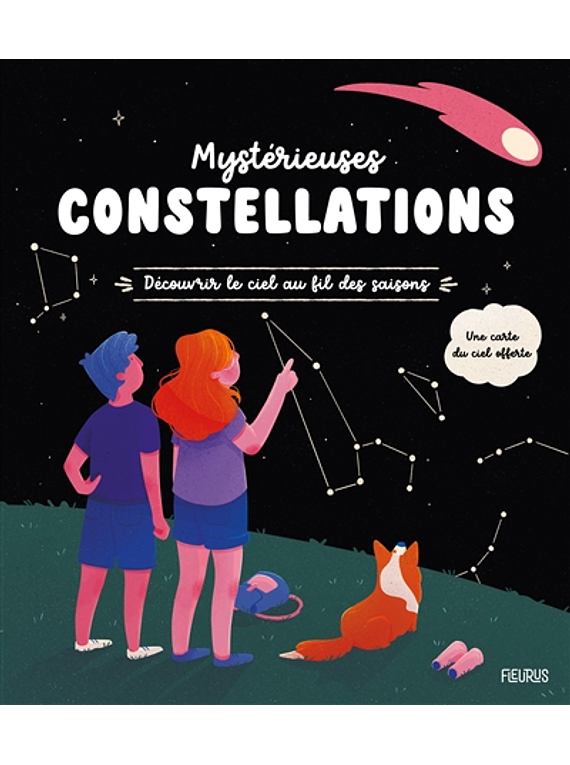 Mystérieuses constellations : découvrir le ciel au fil des saisons, de Pierre Kohler