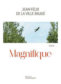 Magnifique, de Jean-Félix de La Ville Baugé