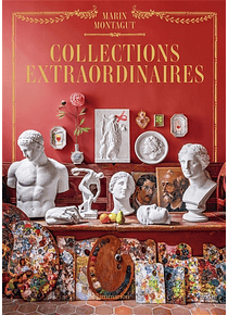 Collections extraordinaires, de Marin Montagut
