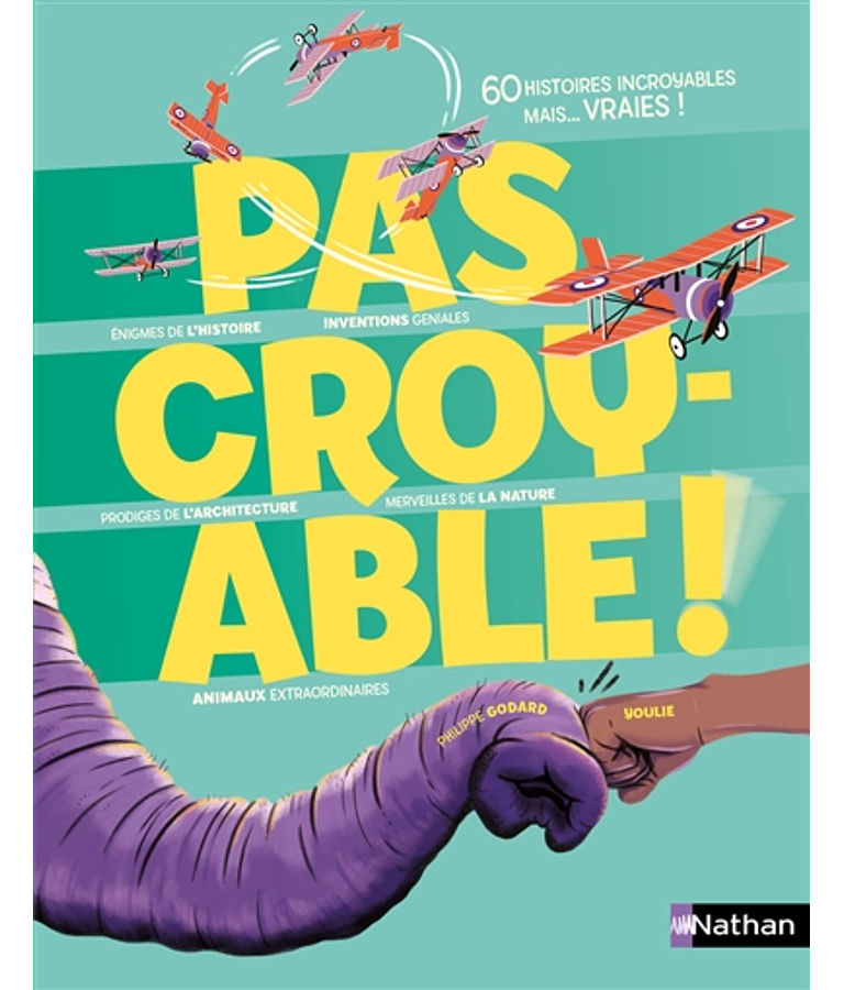 Pas croyable !, de Philippe Godard