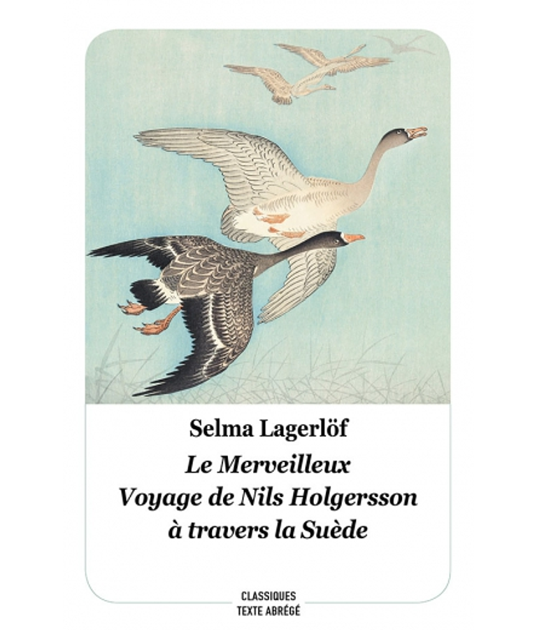 Le Merveilleux voyage de Nils Holgersson à travers la Suède, de Selma Lagerlöf