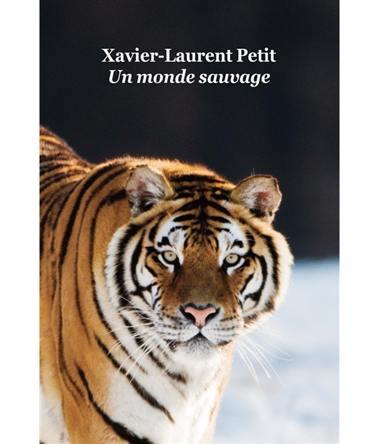 Un monde sauvage , de Xavier-Laurent Petit