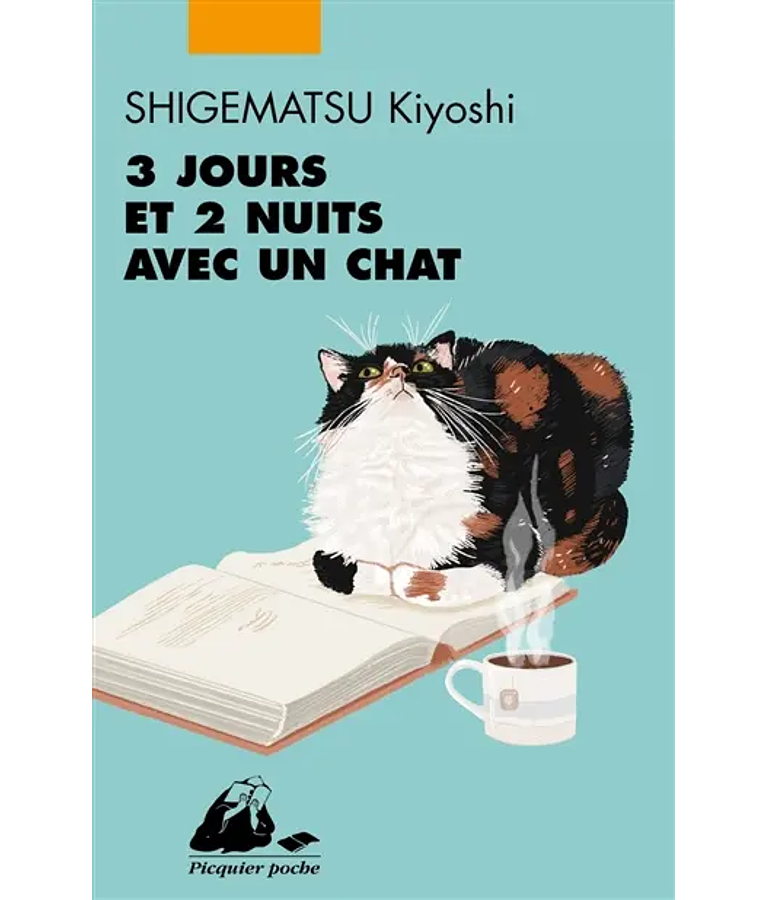 3 jours et 2 nuits avec un chat, de Shigematsu Kiyoshi