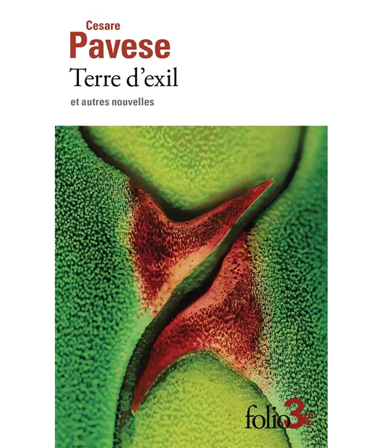 Terre d'exil : et autres nouvelles, de Cesare Pavese