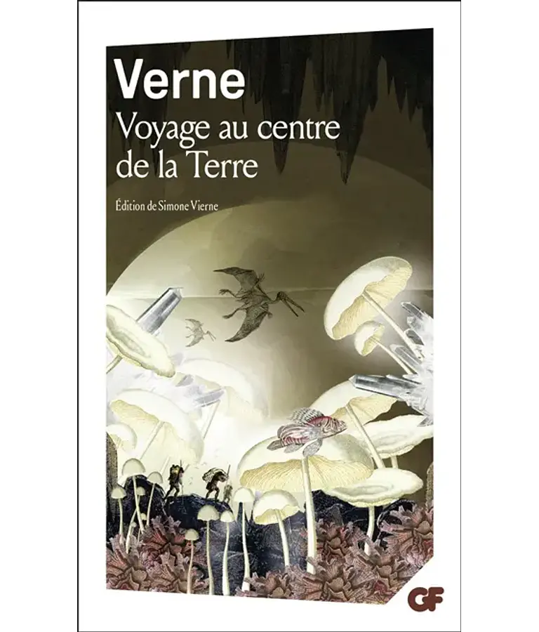 Voyage au centre de la Terre, de Jules Verne