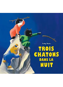Trois chatons dans la nuit, de Audrey Poussier